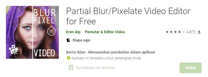 Partial Blur atau Pixelate Video Editor