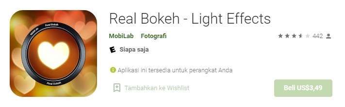 Real Bokeh Light Effect