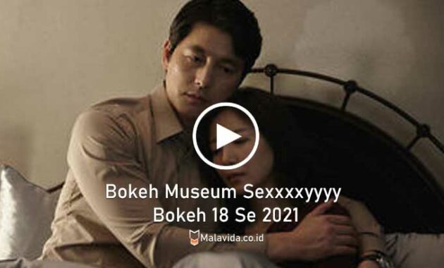 Link Video Bokeh Museum Sexxxxyyyy Bokeh 18 Se