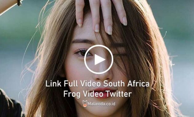 Link Full Video South Africa Frog Video Twitter