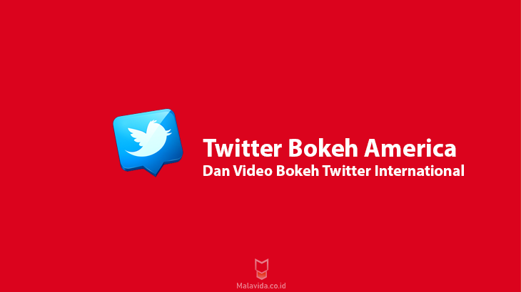 Twitter Bokeh America Dan Video Bokeh Twitter International