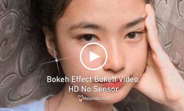 Bokeh Effect Bokeh Video HD No Sensor